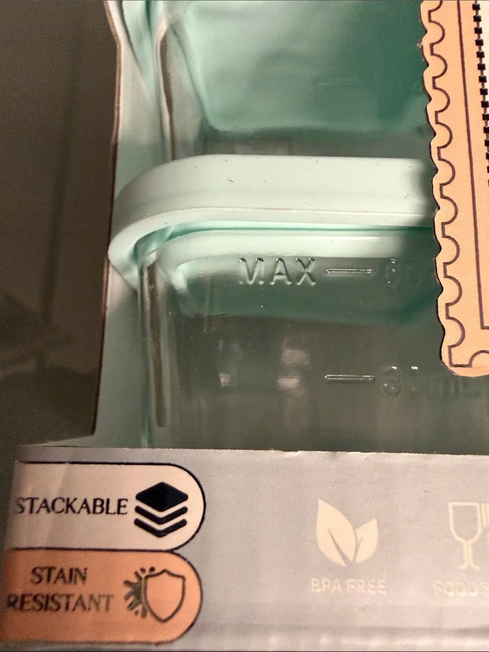 Sauce & Go Containers - Set of 4, Mint